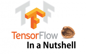 tensorflow_nutshell